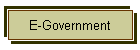 E-Government