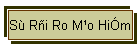 Sù Rñi Ro M¹o HiÓm